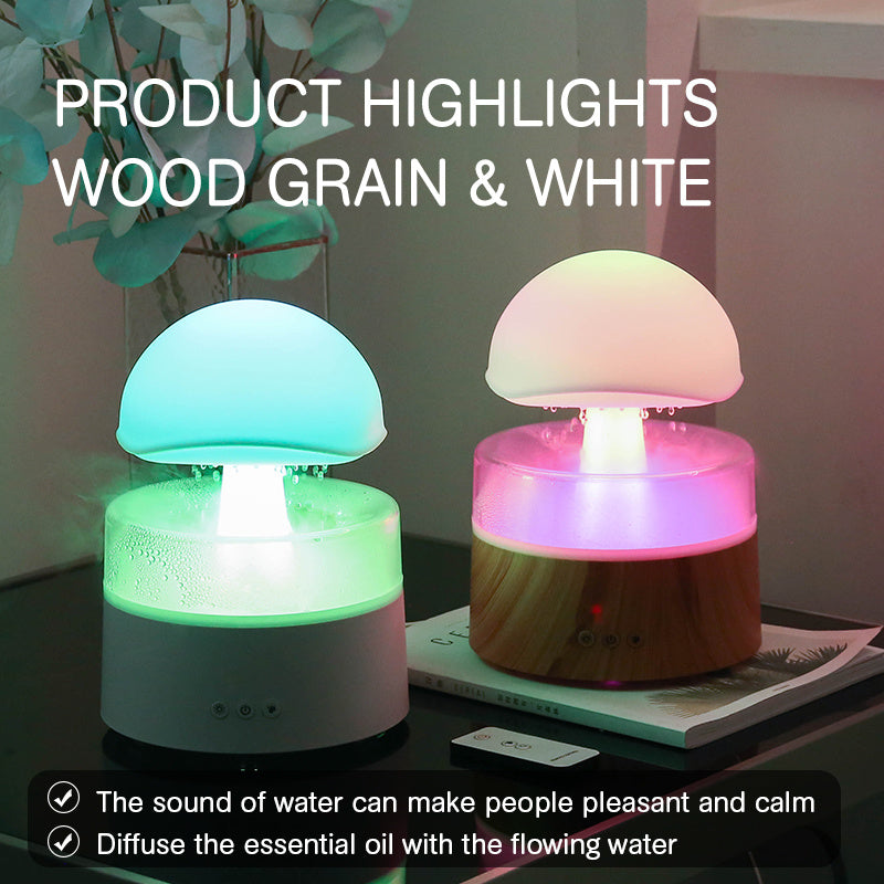 Rain Cloud Humidifier & Essential Oil Diffuser – Soft Mist for Sleep & Relaxation